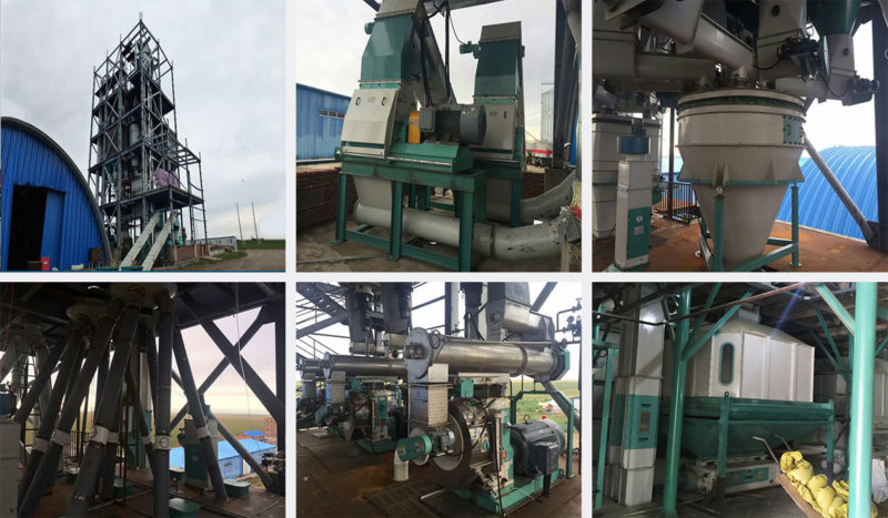 5T/H Feed Mill – SANHE MACHINERY